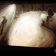 Illustration for article titled A mother lode of concept art takes you inside Harry Potters gorgeous Deathly Hallows animation